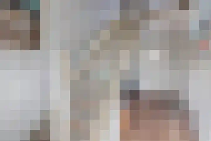 Middelstraat 14 De Moer thumbnail 16