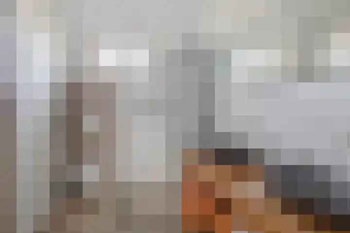 Middelstraat 14 De Moer thumbnail 18