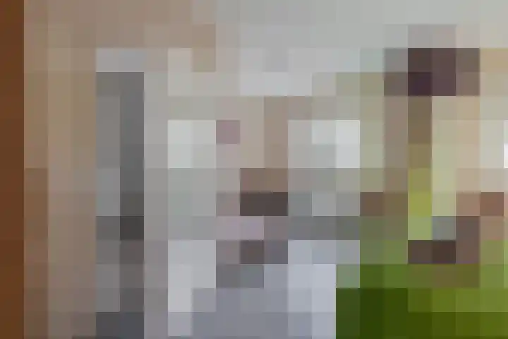Middelstraat 14 De Moer thumbnail 30