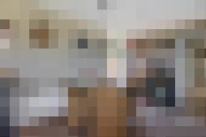Middelstraat 14 De Moer thumbnail 31