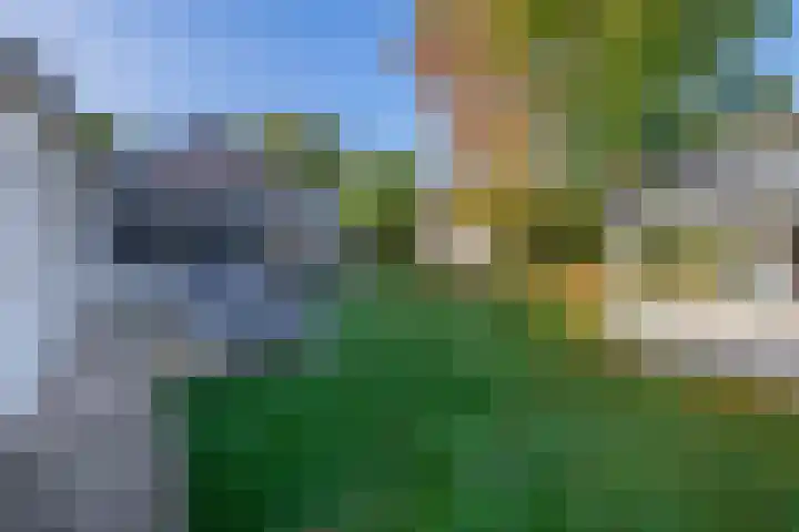 Middelstraat 14 De Moer thumbnail 40