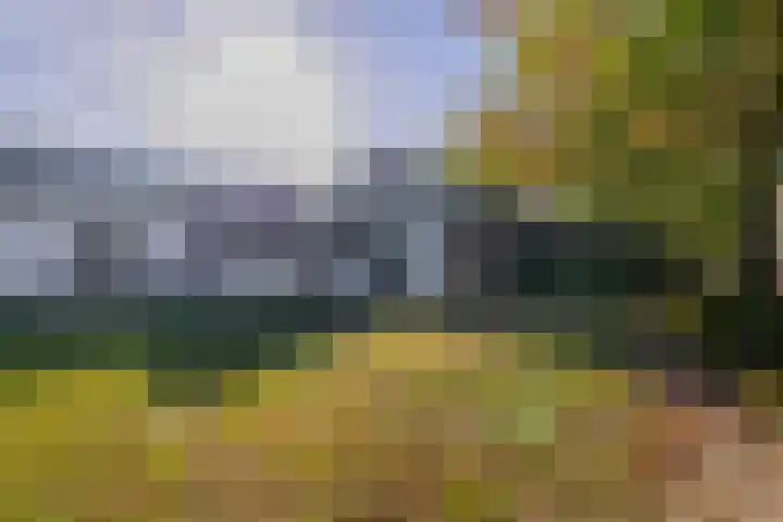 Middelstraat 14 De Moer thumbnail 41