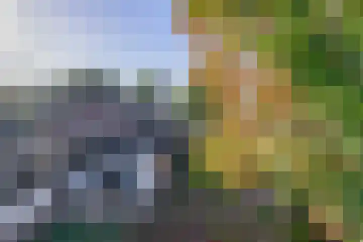 Middelstraat 14 De Moer thumbnail 43