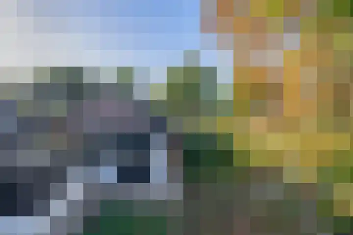 Middelstraat 14 De Moer thumbnail 44