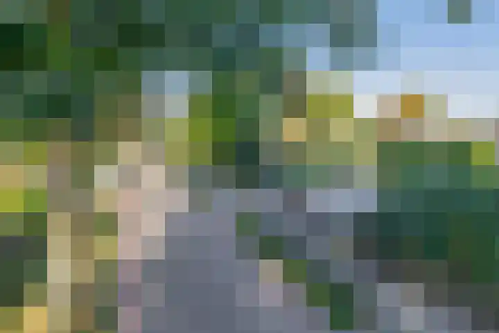 Middelstraat 14 De Moer thumbnail 45