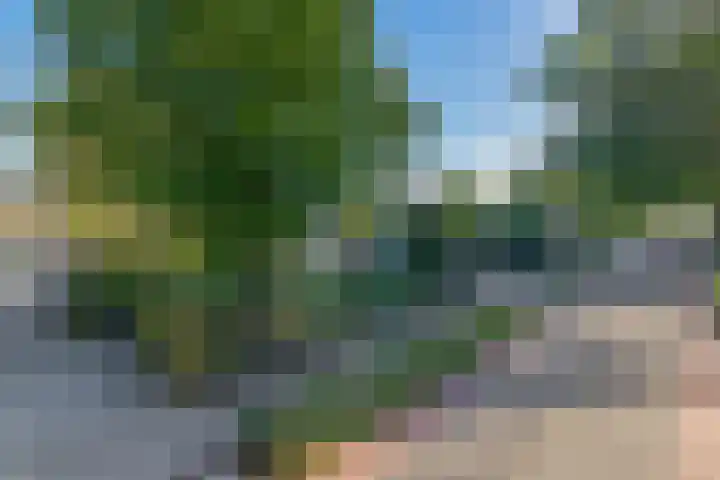 Middelstraat 14 De Moer thumbnail 46