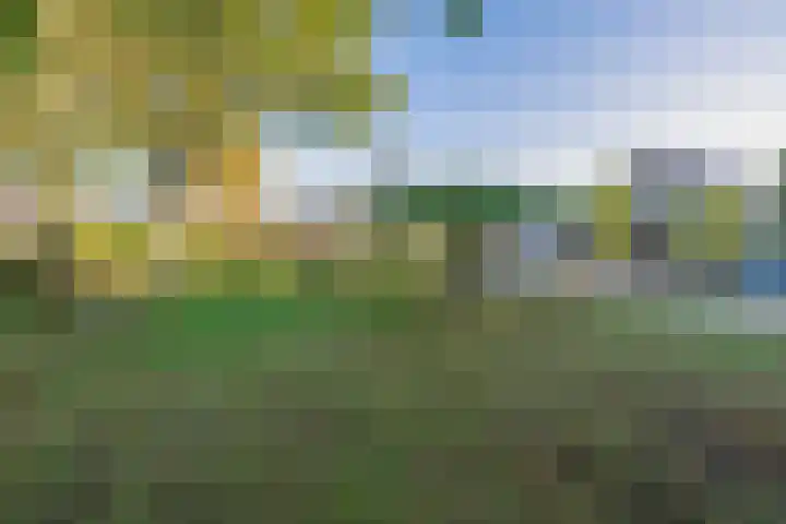 Middelstraat 14 De Moer thumbnail 50