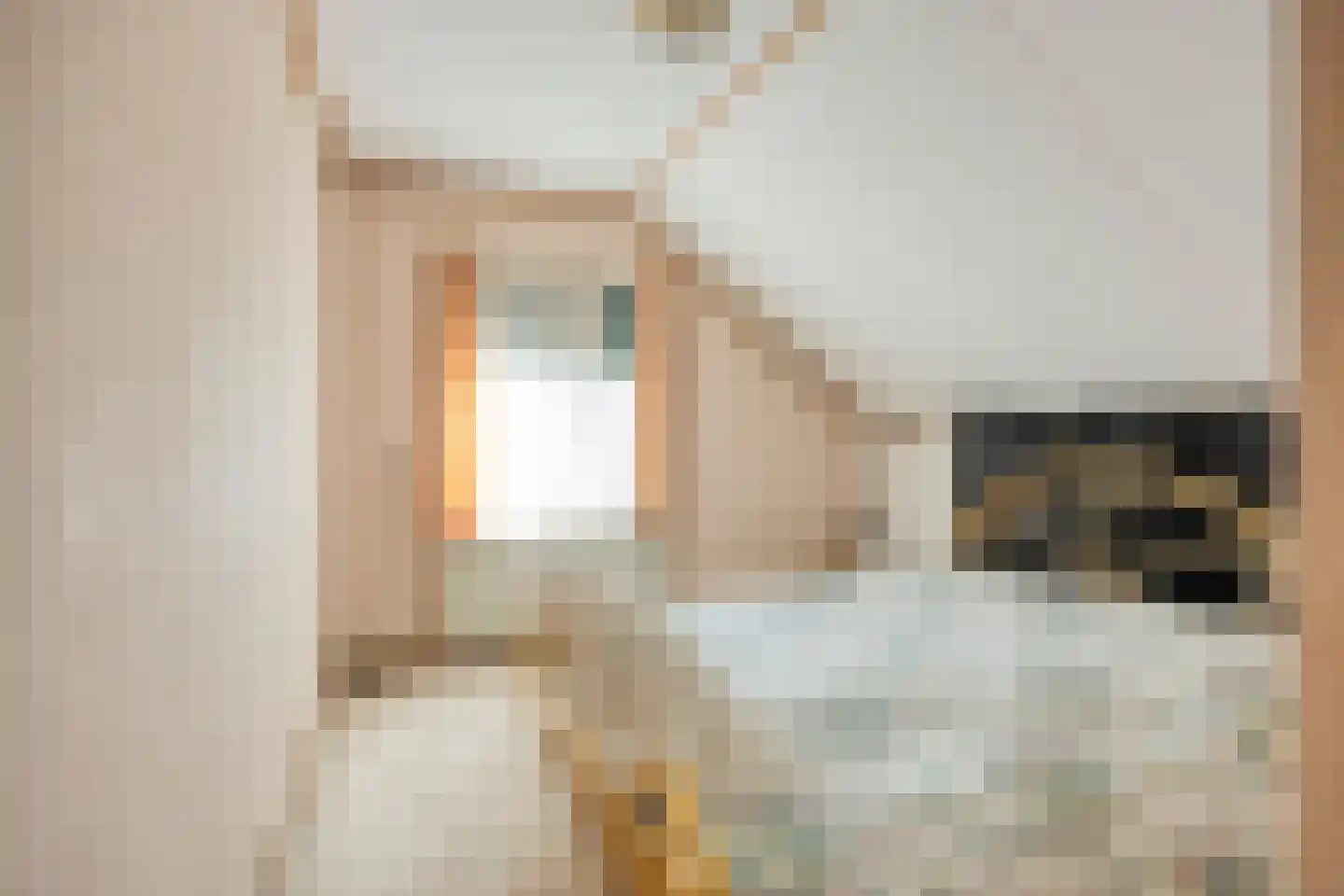 Middelstraat 39 De Moer thumbnail 19