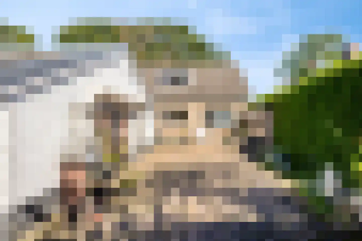 Middelstraat 39 De Moer thumbnail 21