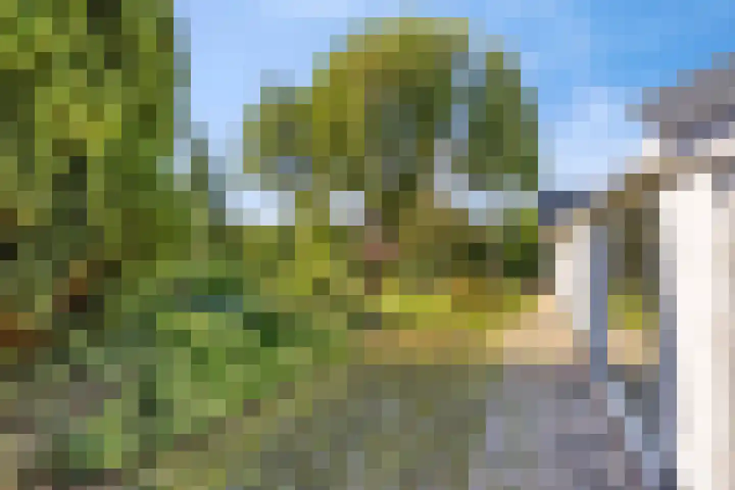 Middelstraat 39 De Moer thumbnail 25