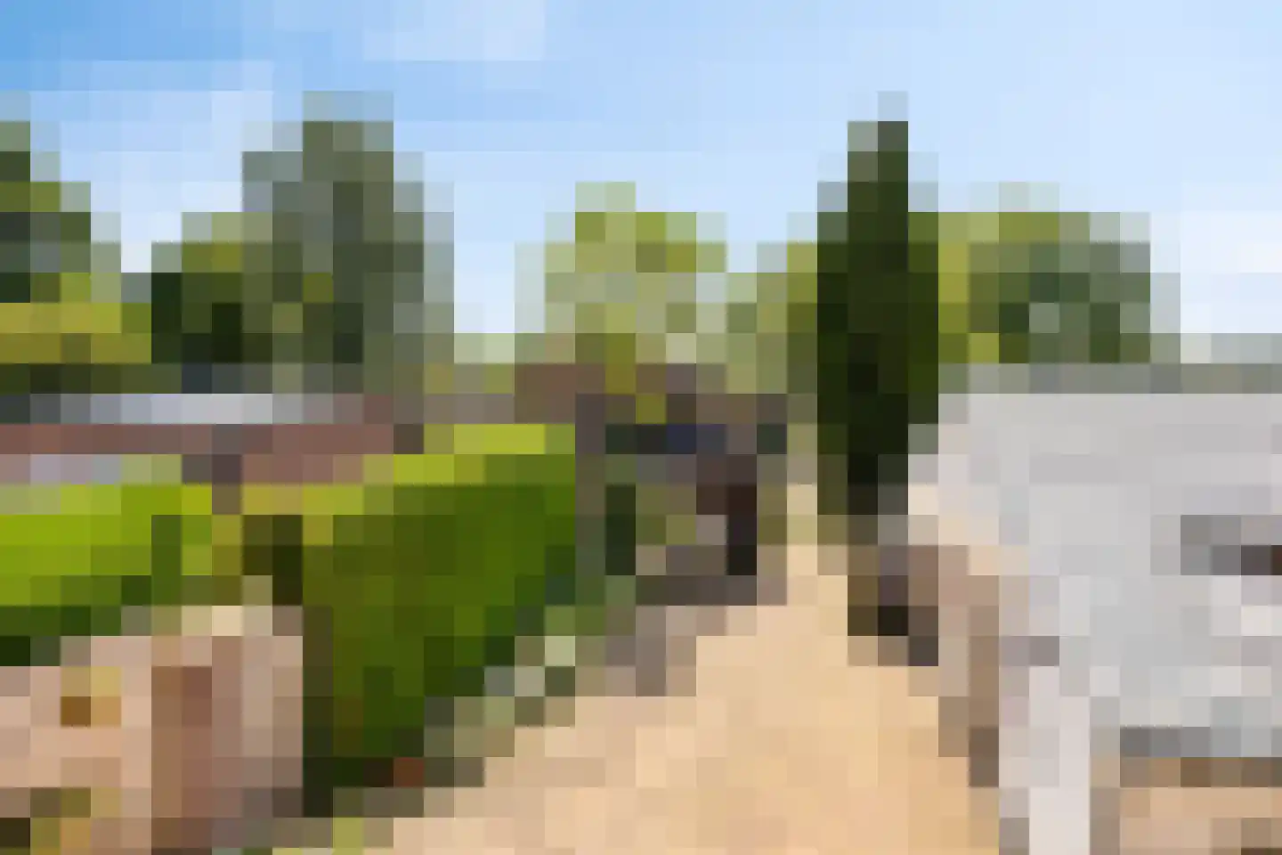 Middelstraat 39 De Moer thumbnail 27