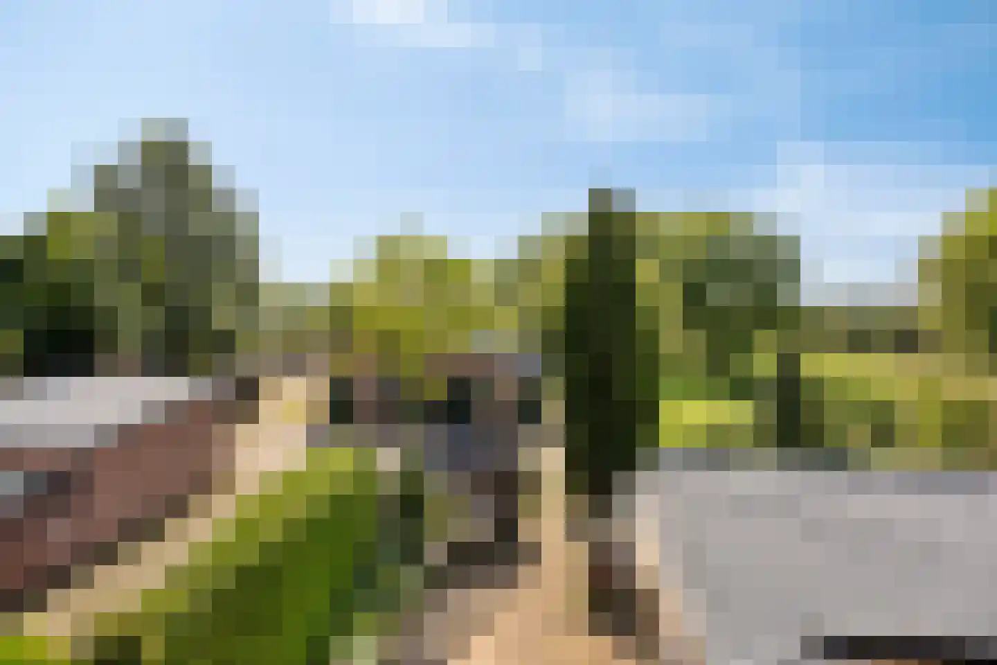 Middelstraat 39 De Moer thumbnail 28