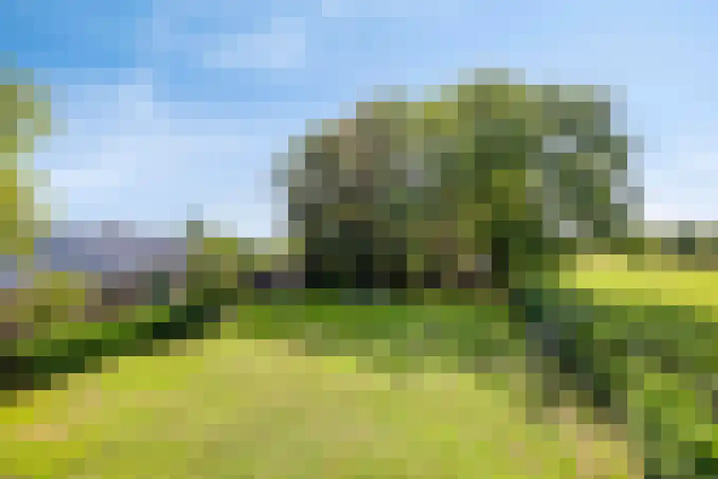 Middelstraat 39 De Moer thumbnail 29