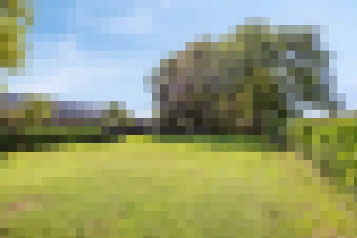 Middelstraat 39 De Moer thumbnail 30