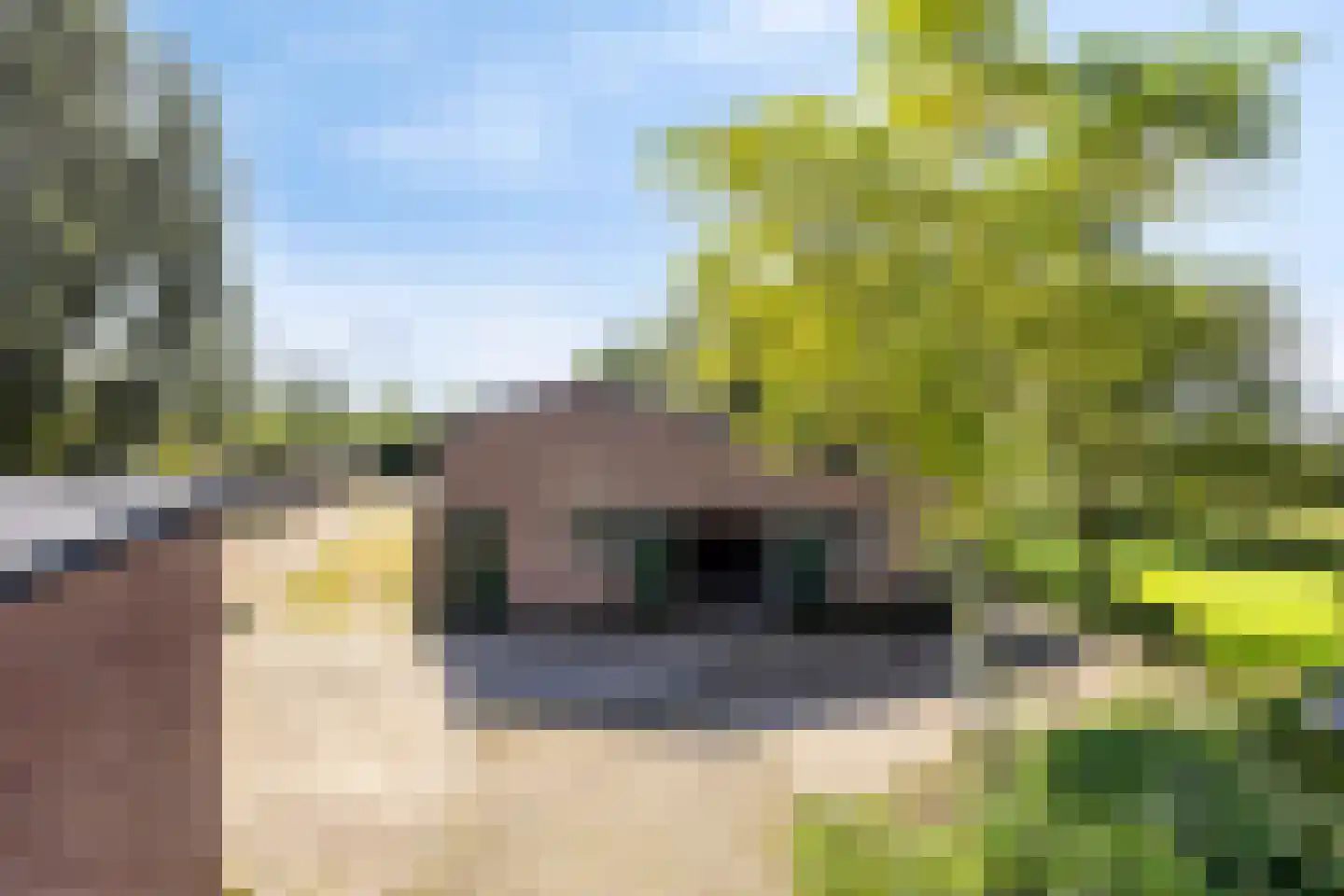 Middelstraat 39 De Moer thumbnail 36