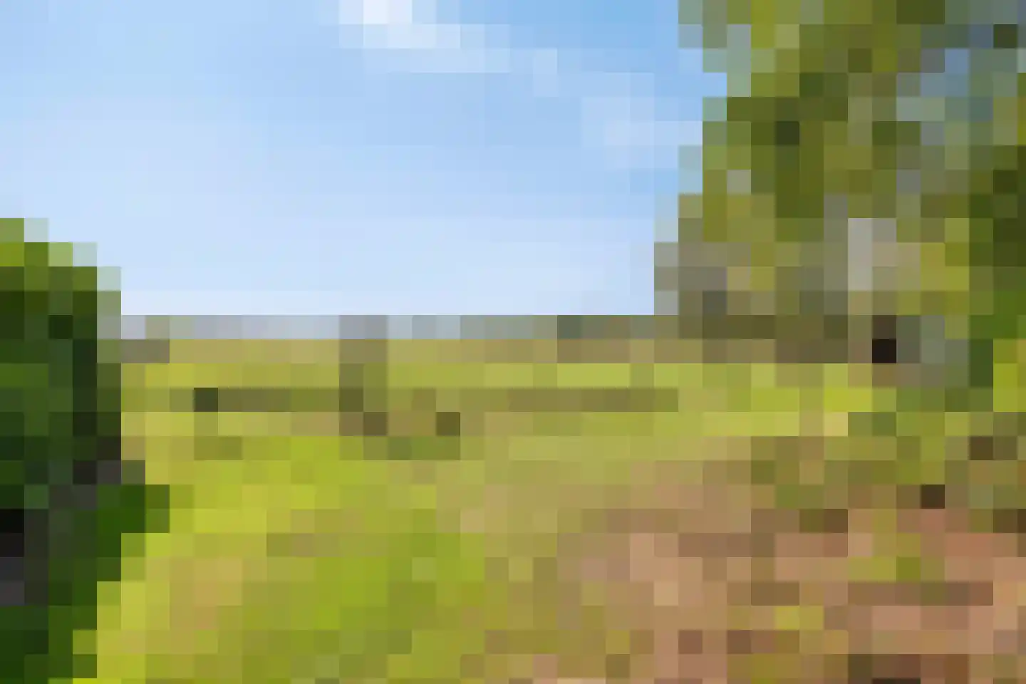 Middelstraat 39 De Moer thumbnail 45