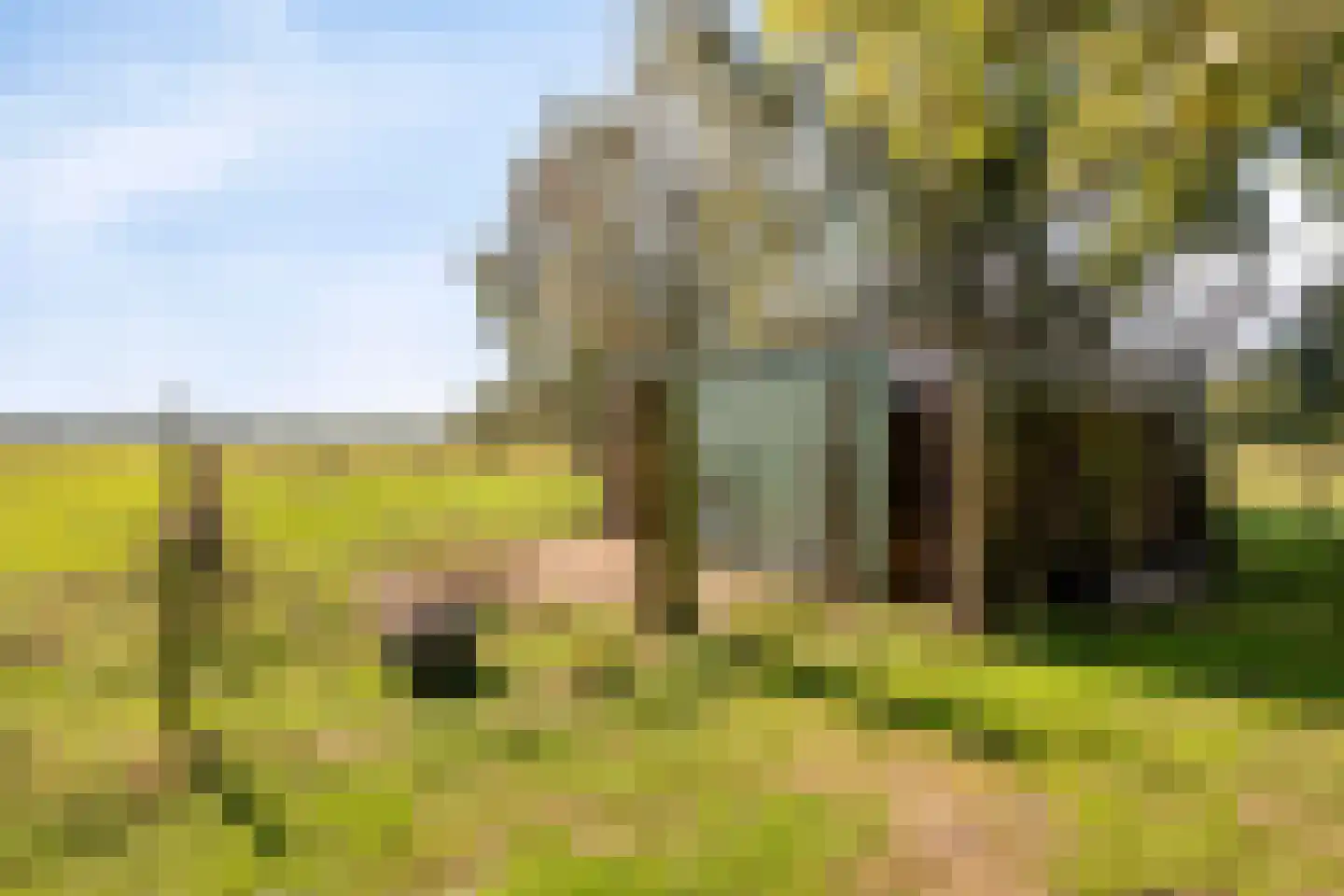 Middelstraat 39 De Moer thumbnail 46