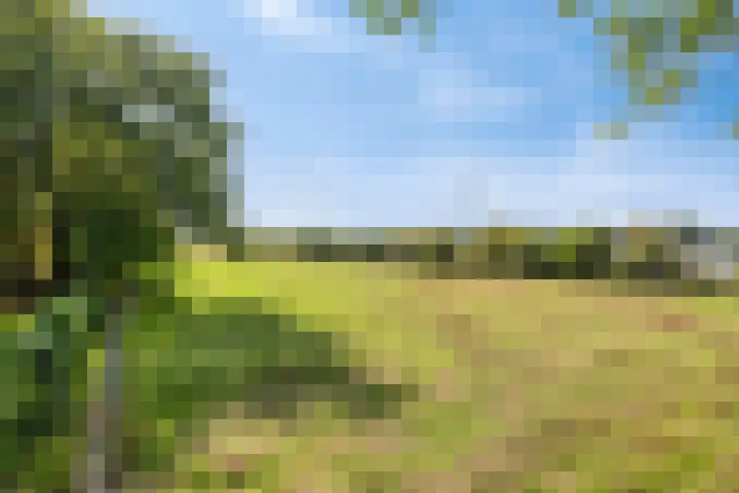 Middelstraat 39 De Moer thumbnail 47