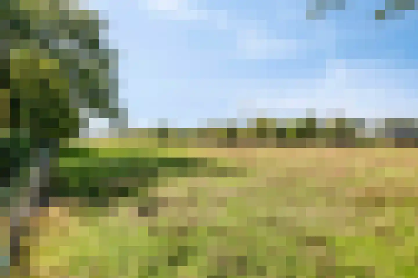 Middelstraat 39 De Moer thumbnail 49