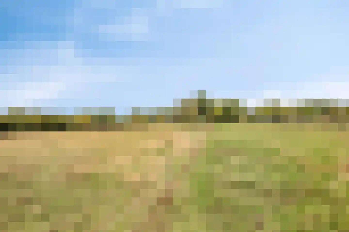 Middelstraat 39 De Moer thumbnail 51