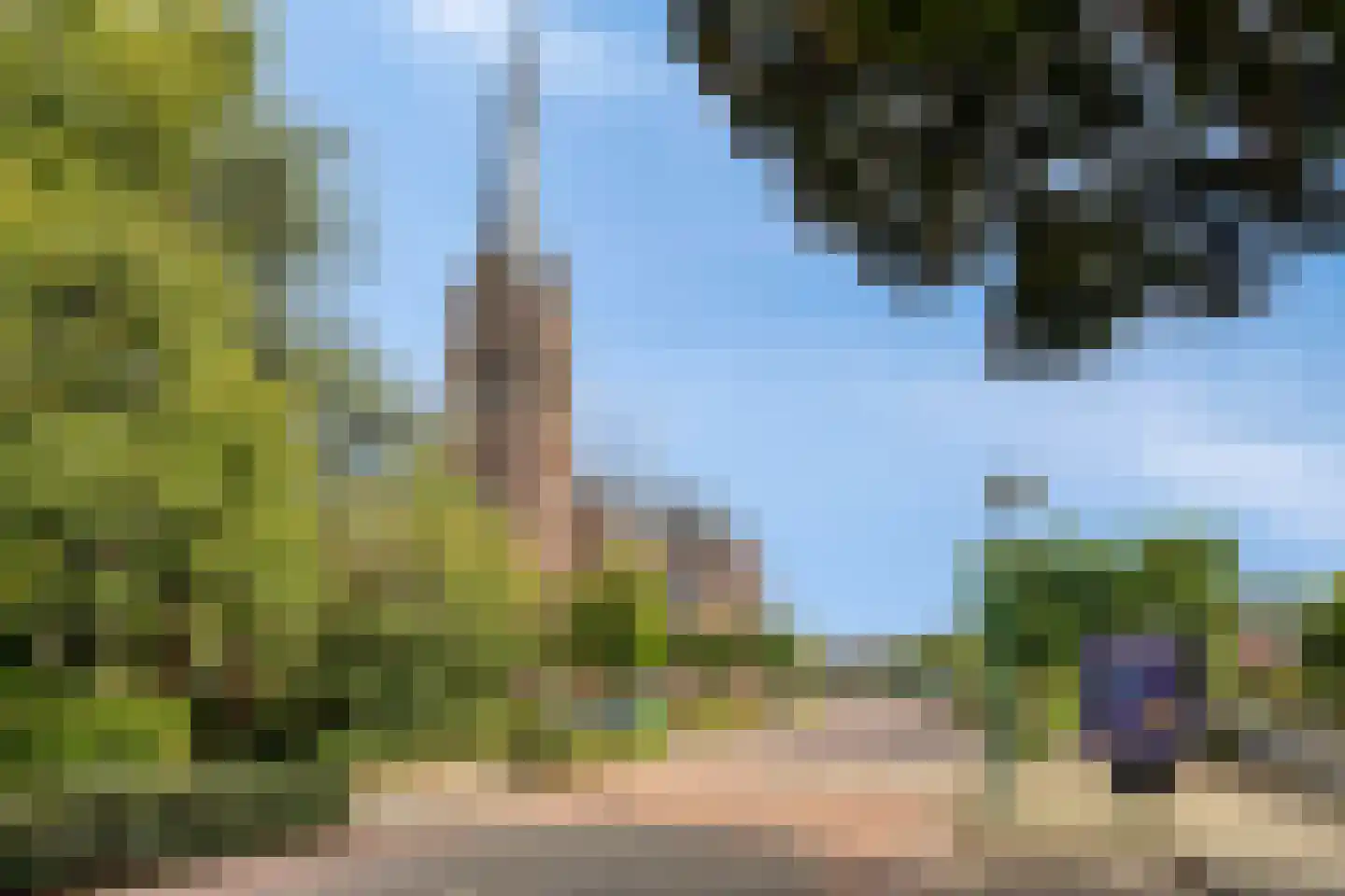Middelstraat 39 De Moer thumbnail 53