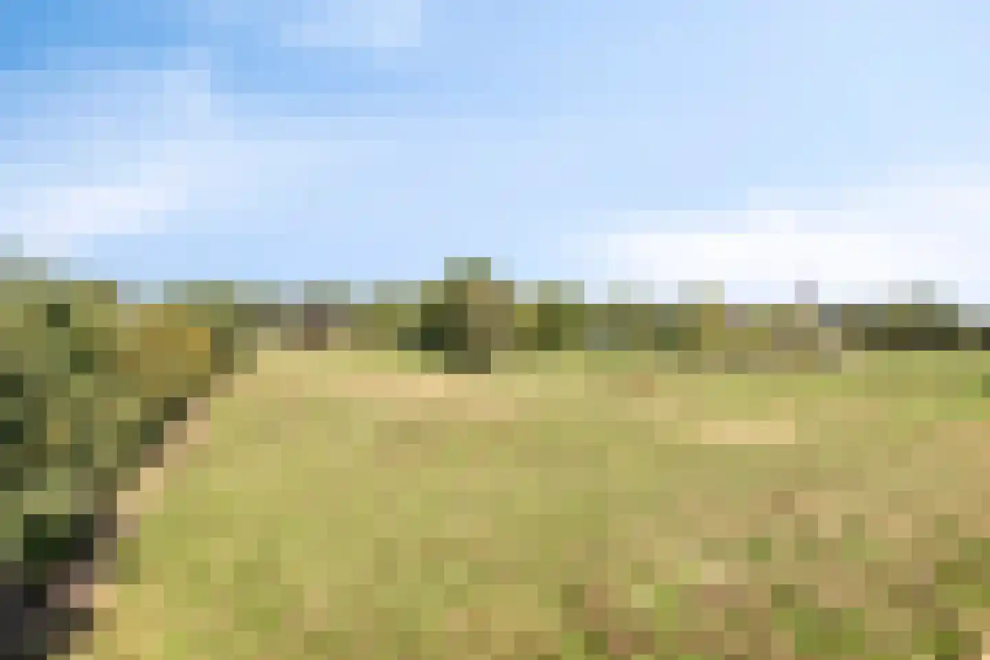 Middelstraat 39 De Moer thumbnail 6