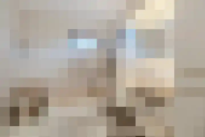 Middelstraat 48 De Moer thumbnail 23