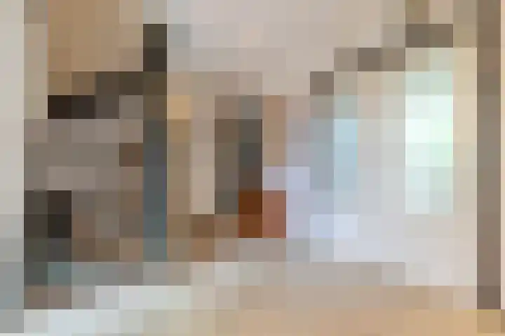 Middelstraat 48 De Moer thumbnail 24