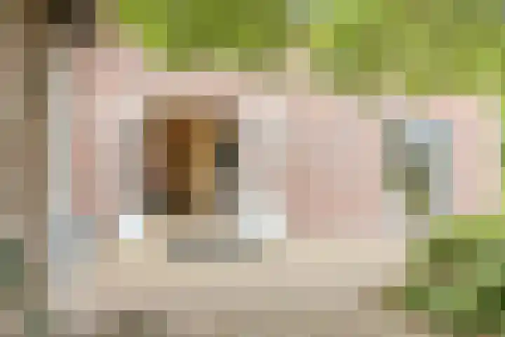 Middelstraat 48 De Moer thumbnail 39