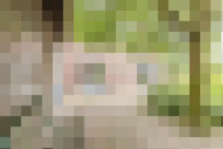 Middelstraat 48 De Moer thumbnail 40