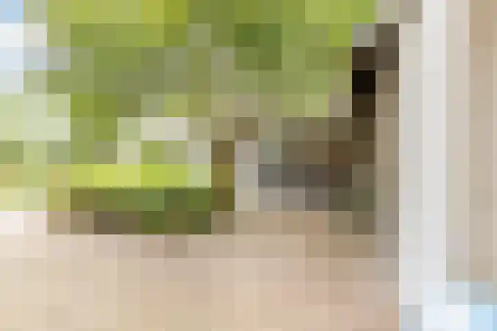 Middelstraat 48 De Moer thumbnail 41