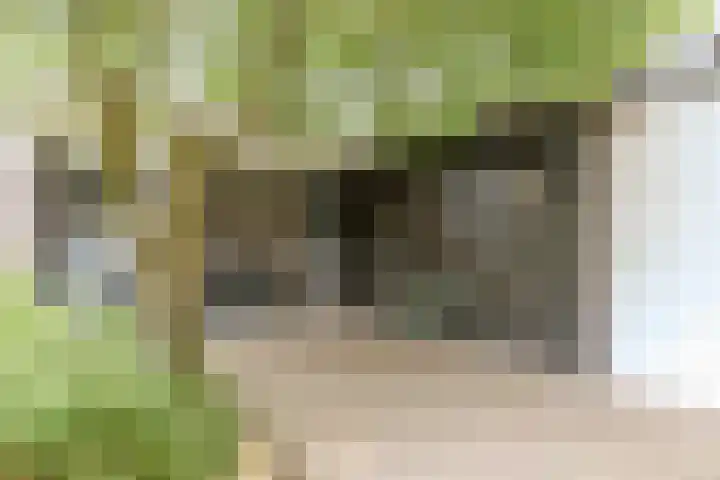 Middelstraat 48 De Moer thumbnail 42