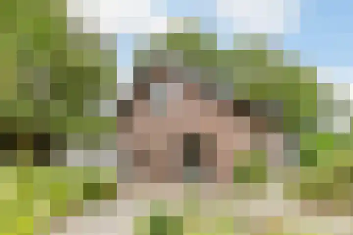 Middelstraat 48 De Moer thumbnail 44