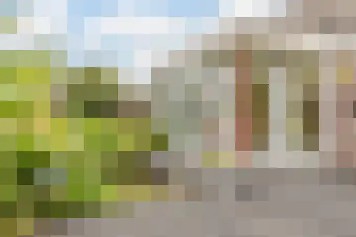 Middelstraat 48 De Moer thumbnail 47