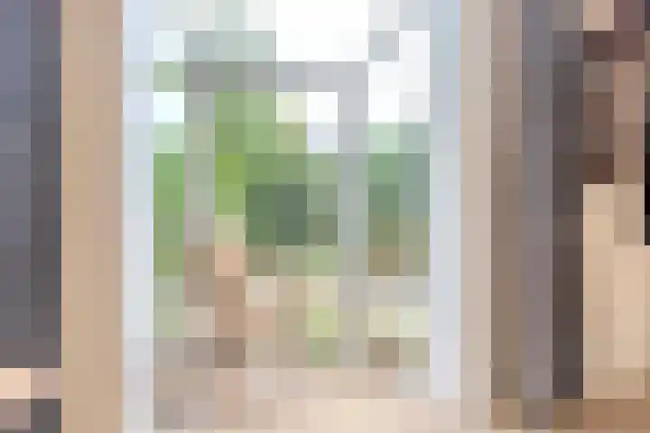 Middelstraat 48 De Moer thumbnail 6