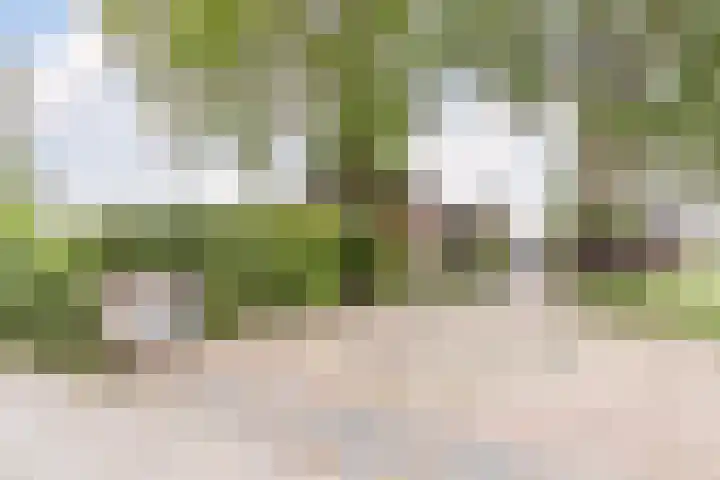 Middelstraat 48 De Moer thumbnail 60