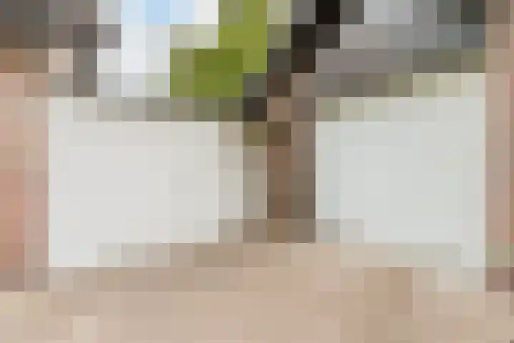 Middelstraat 48 De Moer thumbnail 61