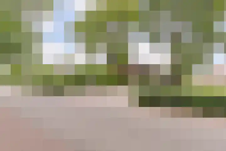 Middelstraat 48 De Moer thumbnail 63