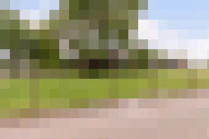 Middelstraat 48 De Moer thumbnail 64