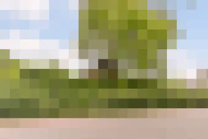 Middelstraat 48 De Moer thumbnail 66