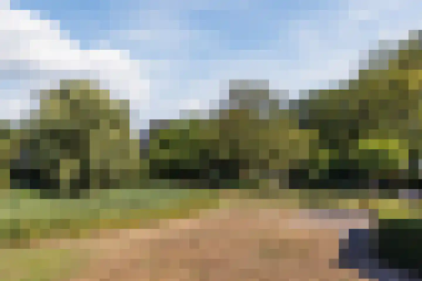 Middelstraat 58 De Moer thumbnail 37