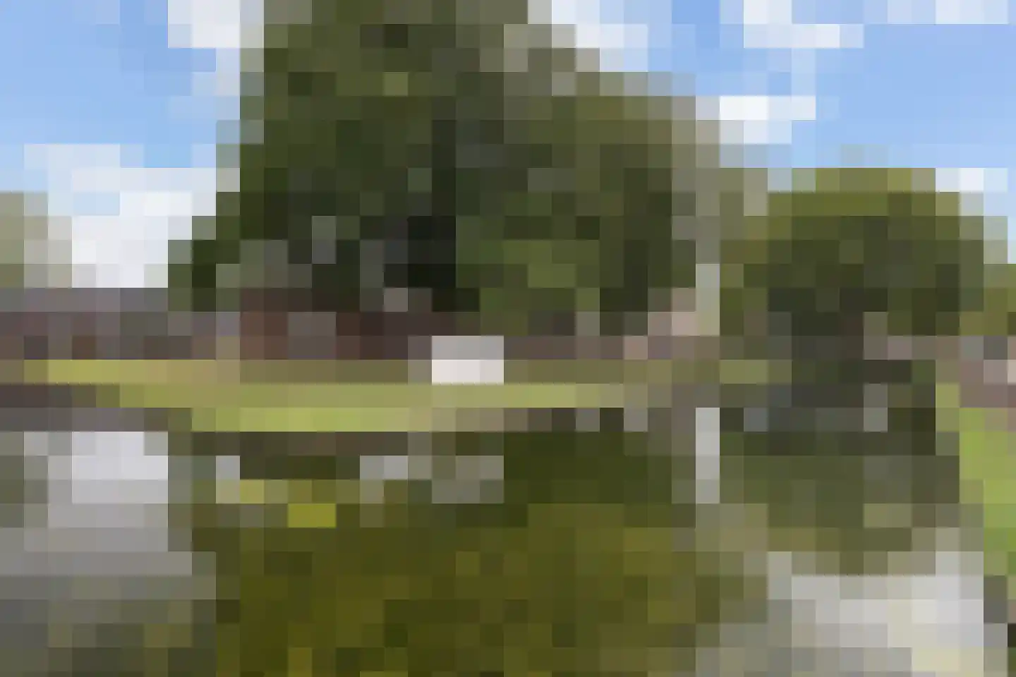 Middelstraat 6 Nieuw-Beijerland thumbnail 44