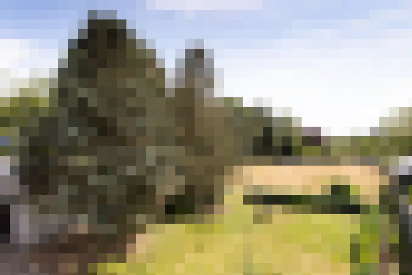 Middelstraat 6 Ossendrecht thumbnail 4