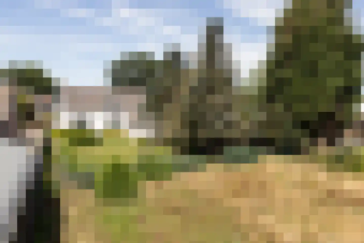 Middelstraat 6 Ossendrecht thumbnail 47