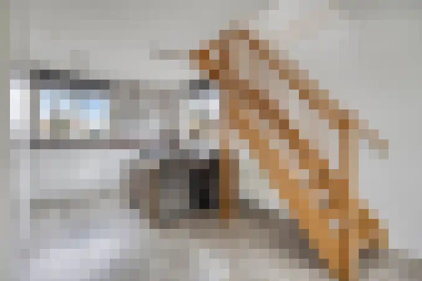 Middelstraat 8 Oud-Beijerland thumbnail 12