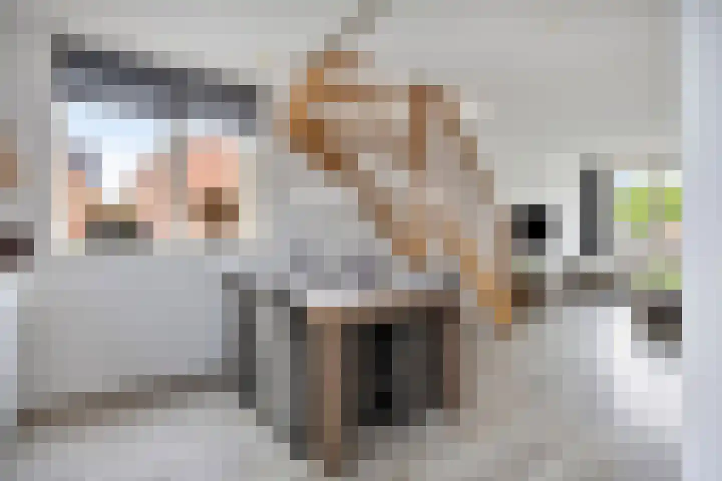 Middelstraat 8 Oud-Beijerland thumbnail 13