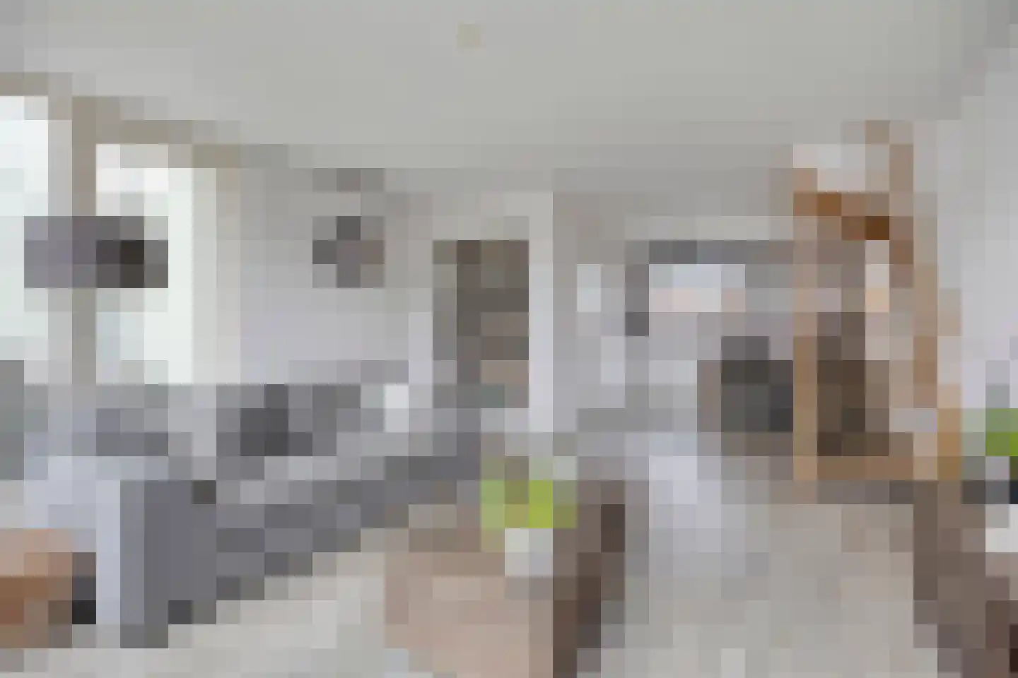 Middelstraat 8 Oud-Beijerland thumbnail 14
