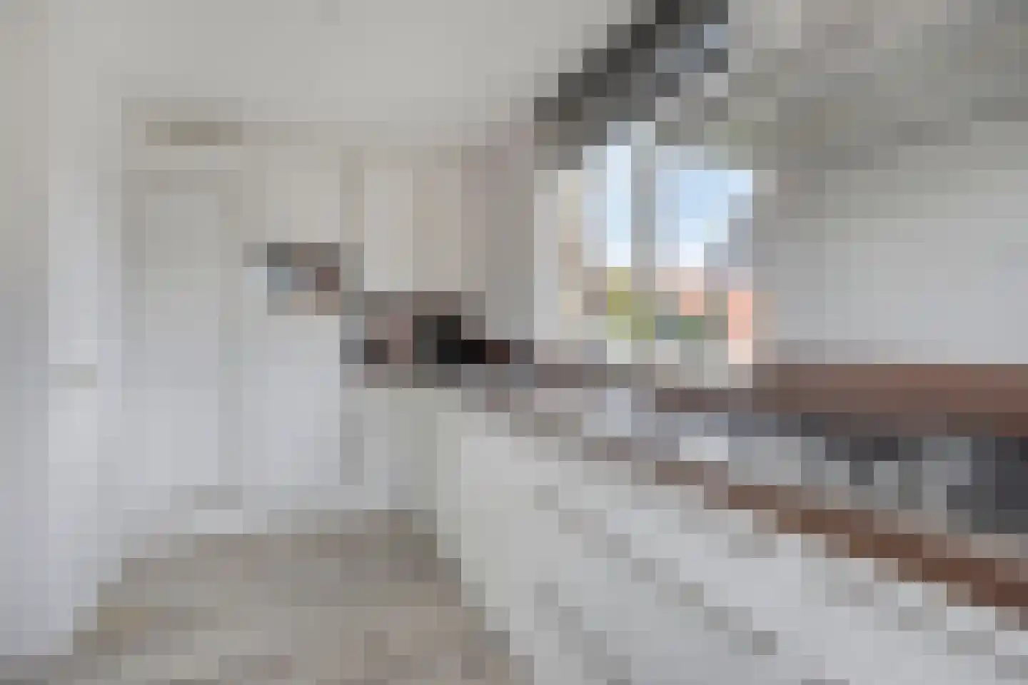 Middelstraat 8 Oud-Beijerland thumbnail 16