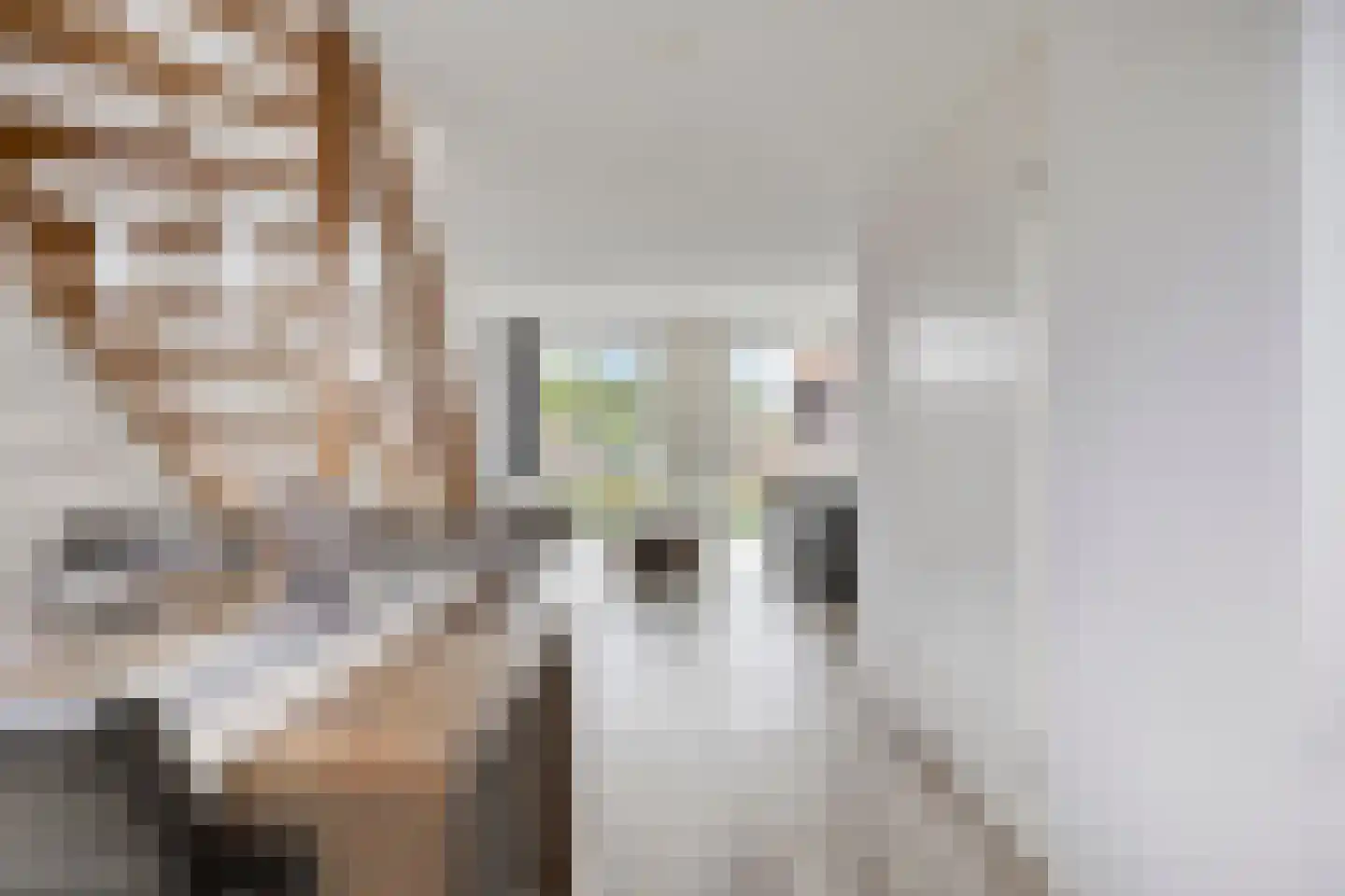 Middelstraat 8 Oud-Beijerland thumbnail 18