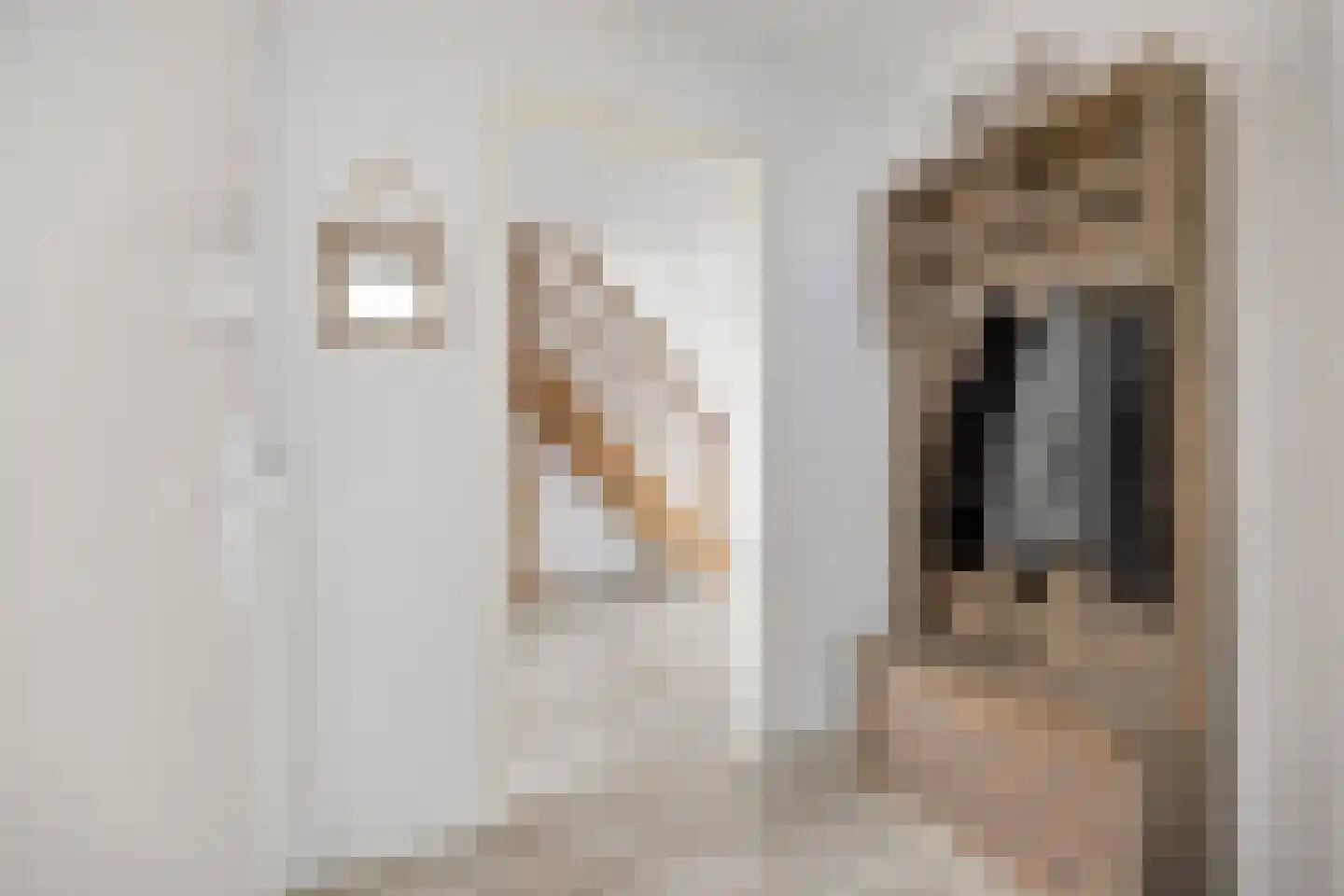 Middelstraat 8 Oud-Beijerland thumbnail 8